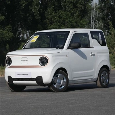 Minicotxe elèctric pur Geely Panda